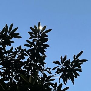 Meet your Posher, Nanxi